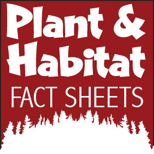 Plant & Habitat Fact Sheets