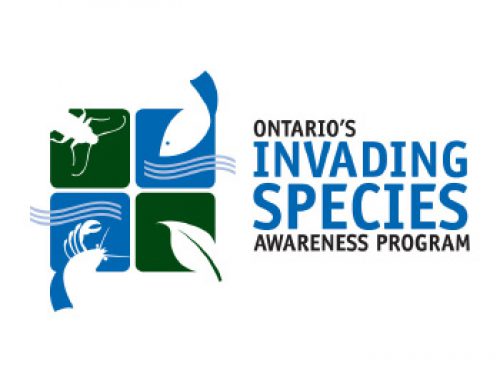 Invasive Species Aquatic Program