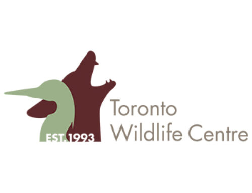 Toronto Wildlife Centre