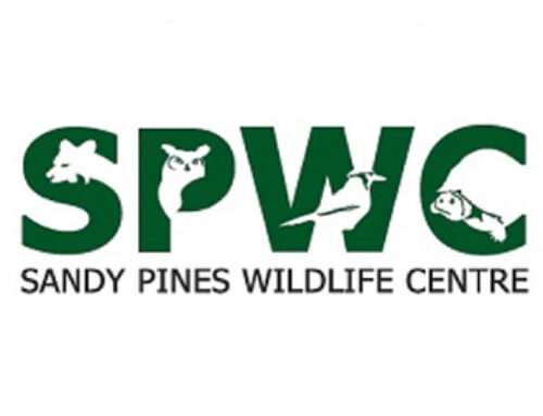 Sandy Pines Wildlife Centre