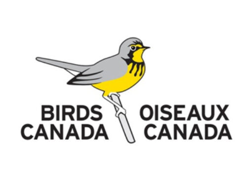 Birds Canada